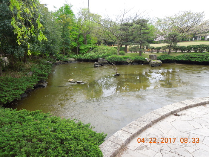 f0281533_15315022.jpg