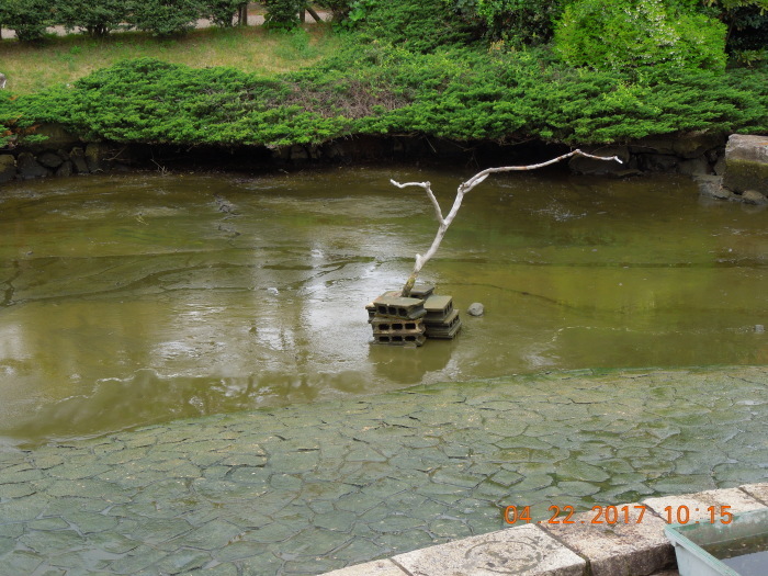 f0281533_15344336.jpg