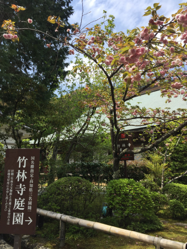 竹林寺で撮影です(o^^o)_b0240634_12235242.jpg