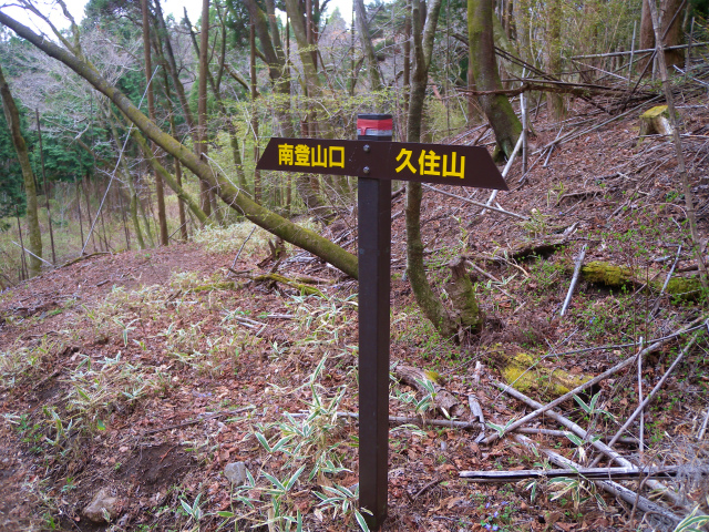 4000本の天空の森 山桜観賞＆扇ヶ鼻・久住山を歩く！_e0272335_2013551.jpg