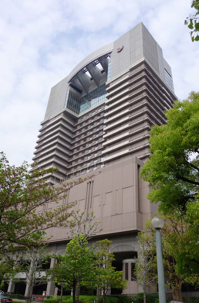 帝国ホテル 桜写真コンテスト作品展 17 04 21 新 トラちゃん ちー 明日葉 観察日記 帝国ホテル 桜写真コンテスト作品展 17 04 21 新 トラちゃん ちー 明日葉 観察日記
