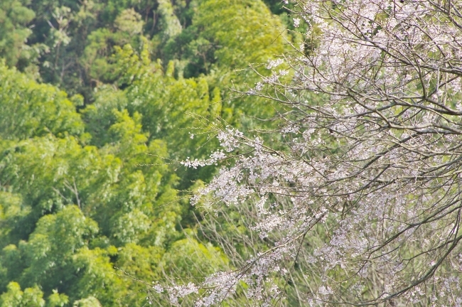 c0281841_14442277.jpg