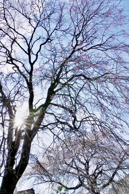 c0281841_15280188.jpg