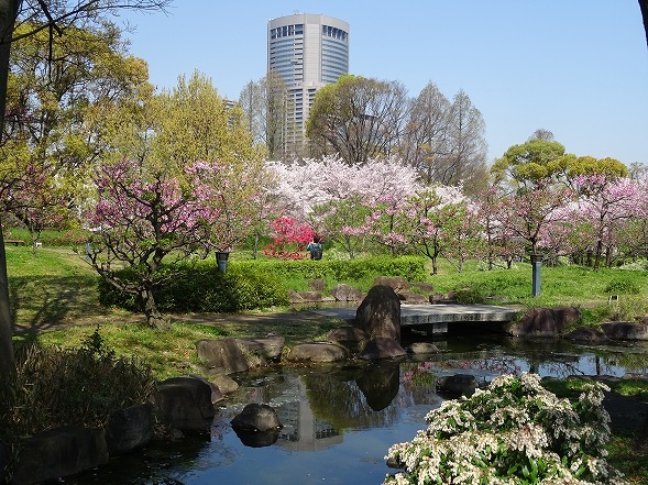 藤田邸跡公園の桜_b0299042_19272186.jpg