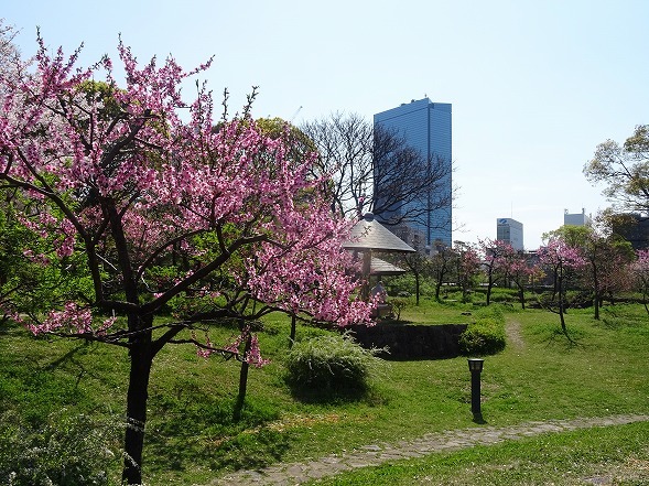 藤田邸跡公園の桜_b0299042_19280816.jpg