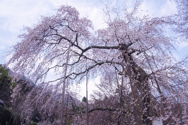 f0158043_23002660.jpg