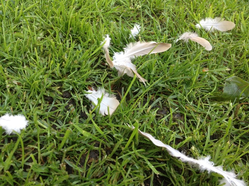 b0069848_05190716.jpeg
