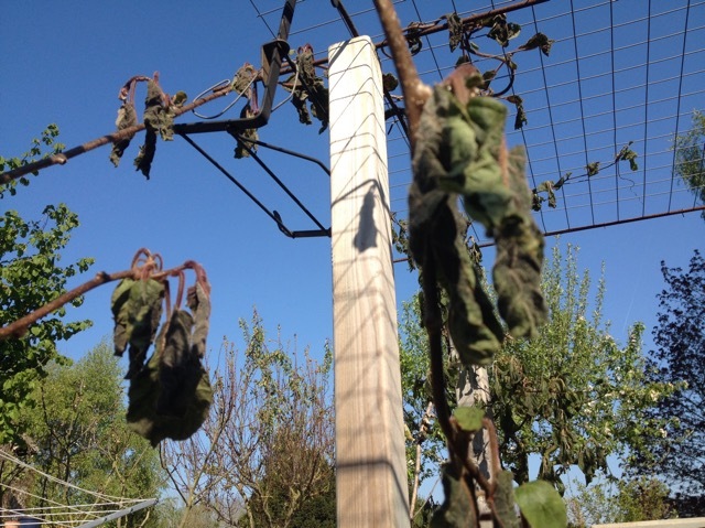 b0069848_05192569.jpeg