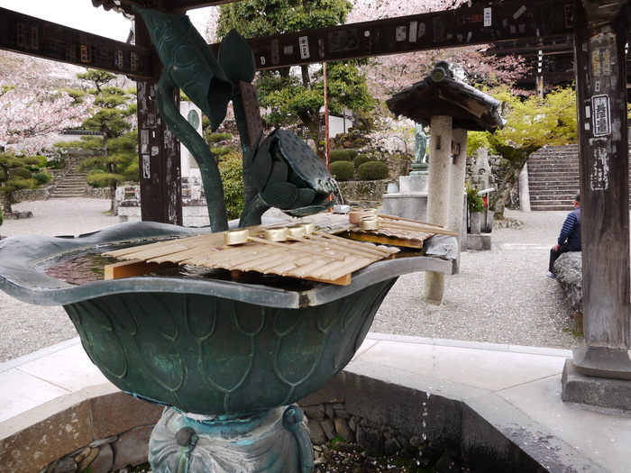 　　桜咲く粉河寺（こかわでら）３　　２０２３-０２-２７　００：００_b0093754_2384495.jpg