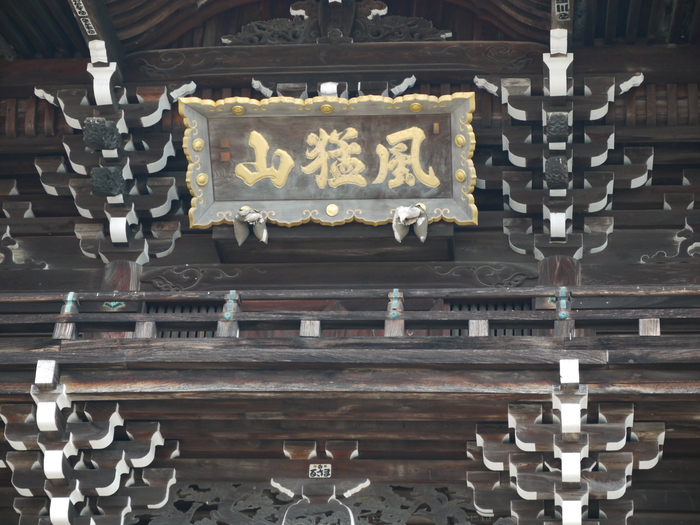 　　桜咲く粉河寺（こかわでら）３　　２０２３-０２-２７　００：００_b0093754_2392937.jpg