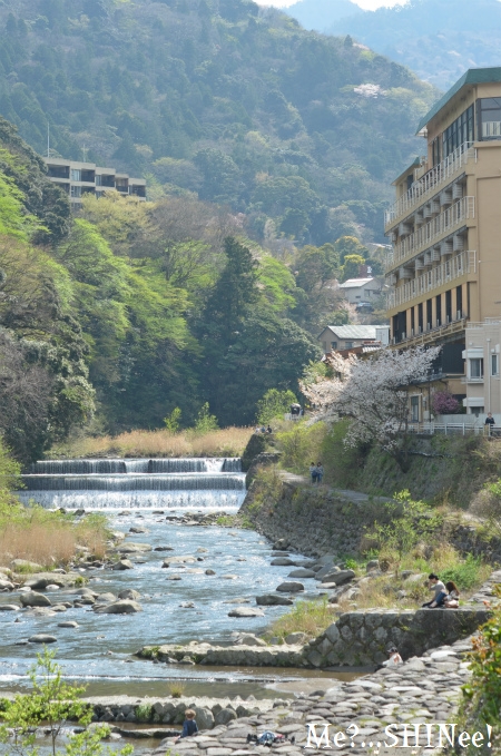 父の誕生日に箱根温泉 ~ 散りかけの桜とはつ花そば本店 ~ _e0080563_19493798.jpg