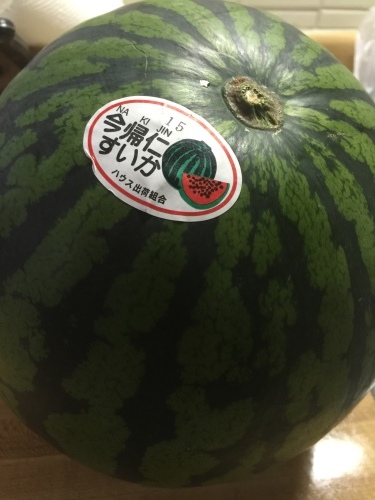 Nakijin water melon._c0153966_21364809.jpeg