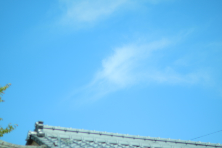 e0165472_01304477.jpg