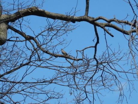 c0253487_01013960.jpg