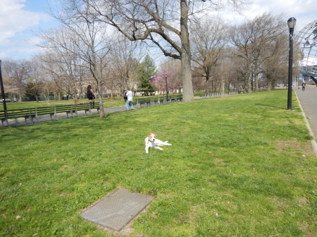 c0253487_01121462.jpg