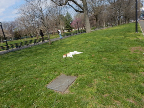 c0253487_01123227.jpg