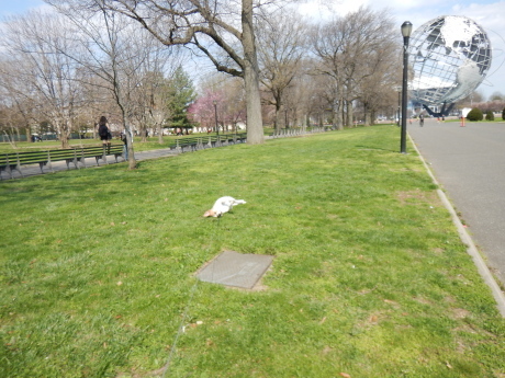 c0253487_01135242.jpg