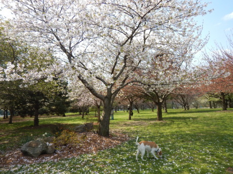 c0253487_01192193.jpg