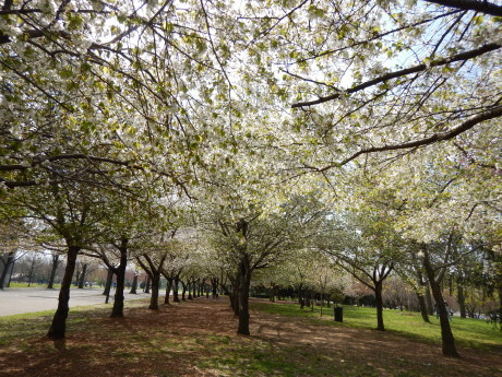 c0253487_01335797.jpg