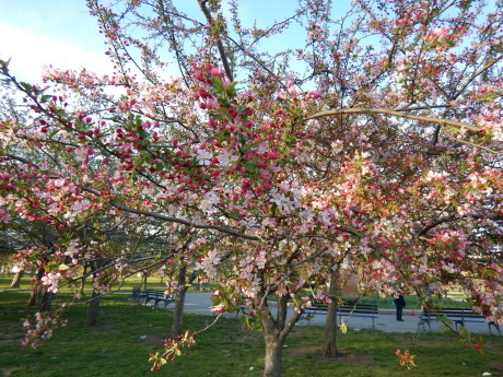 c0253487_03160402.jpg