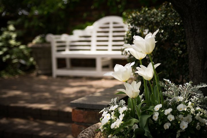 秘密の花園_d0353489_213917.jpg