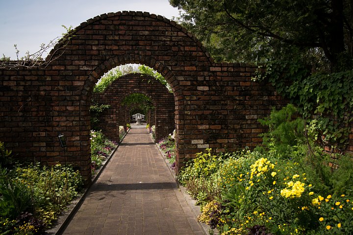 秘密の花園_d0353489_2141572.jpg