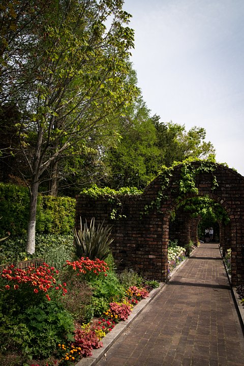 秘密の花園_d0353489_21451692.jpg