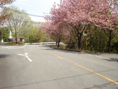 a0206695_15324863.jpg