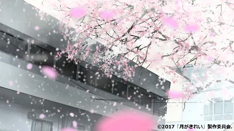 「月がきれい」舞台探訪001 三鷹市その1・学校と練習場(1話,3話,5話)_e0304702_21235927.jpg