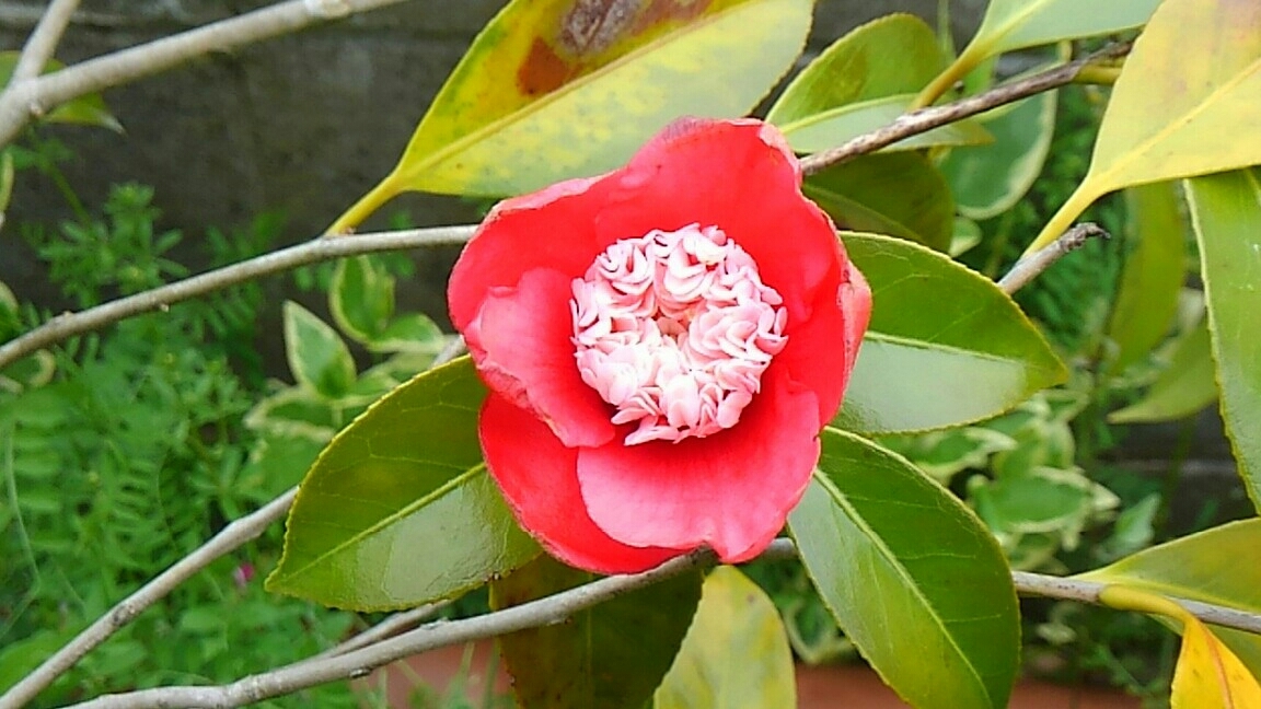 d0306603_00251320.jpg