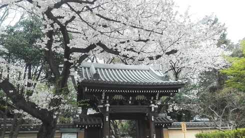f0157611_112731.jpg