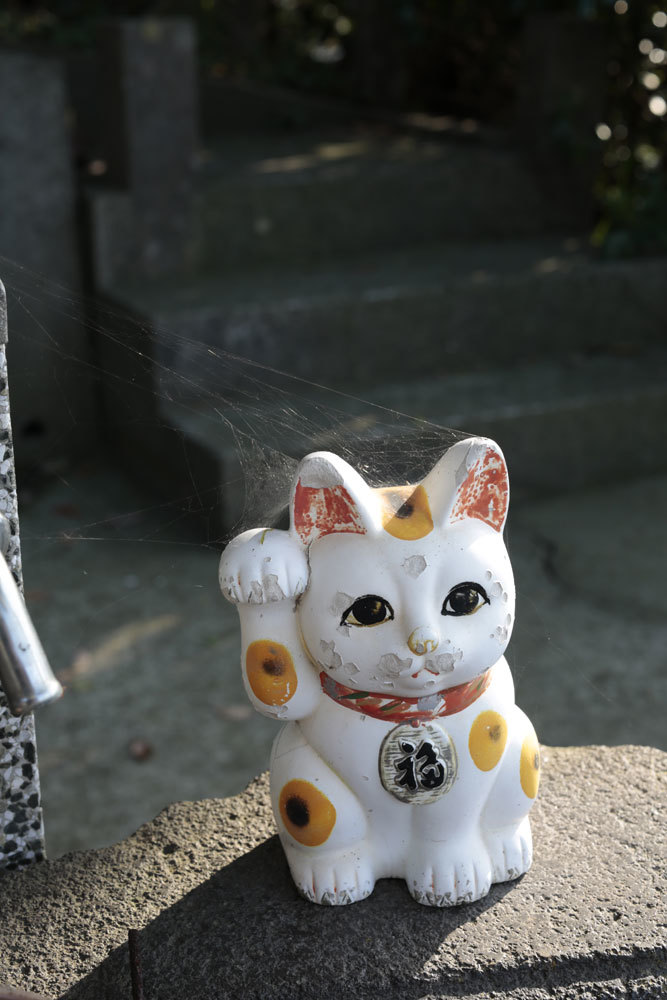 熊野神社　～荒崎～_d0011713_14315454.jpg