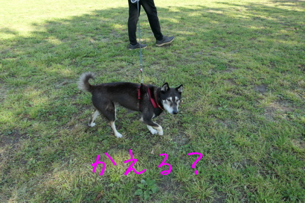f0369014_14095648.jpg