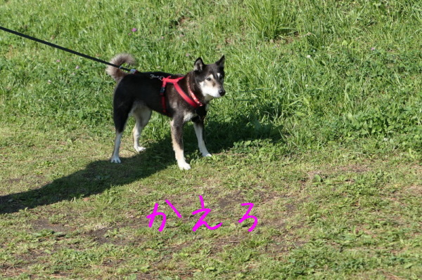 f0369014_14111974.jpg