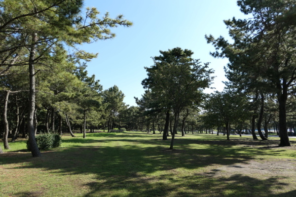 f0369014_14114326.jpg