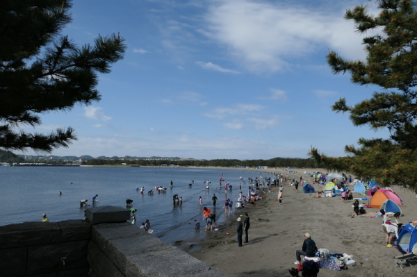 f0369014_14131816.jpg