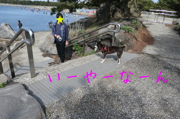 f0369014_14173589.jpg