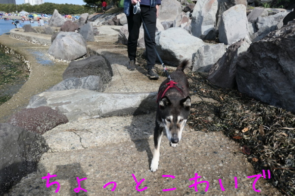 f0369014_14185680.jpg