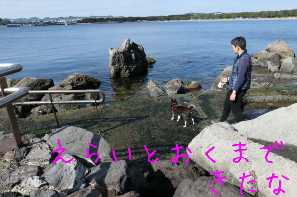 f0369014_14260233.jpg