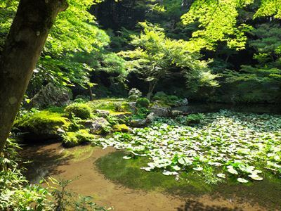 ２０１６年　８月　京都　南禅院_a0137921_17365291.jpg