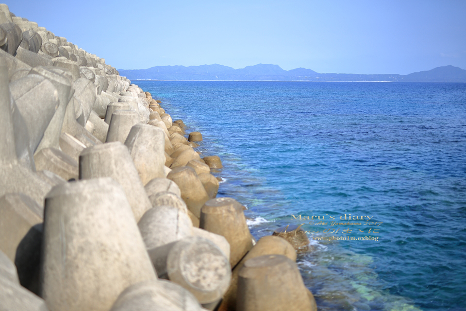 まゝに/特急便/Island1/Okinawa_d0342426_01243505.jpg