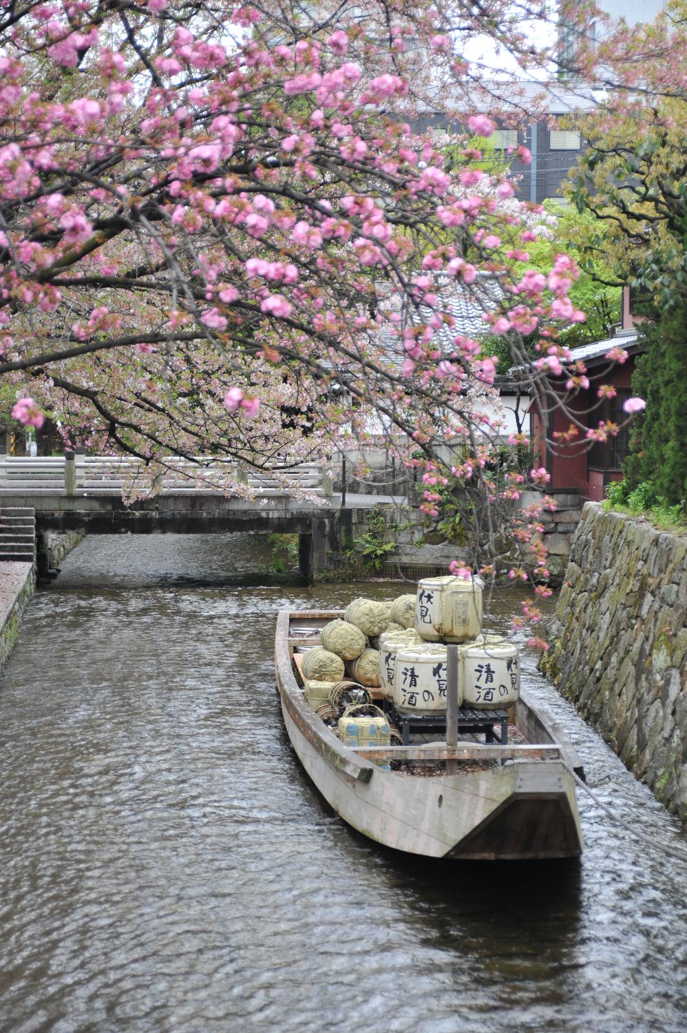 雨の京都_b0069128_8295749.jpg