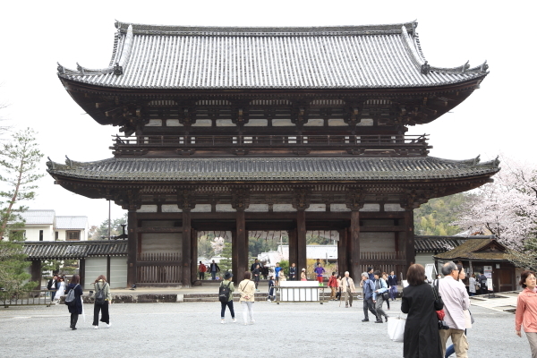 １７年桜紀行７．京都編・仁和寺その１_f0229832_09274719.jpg