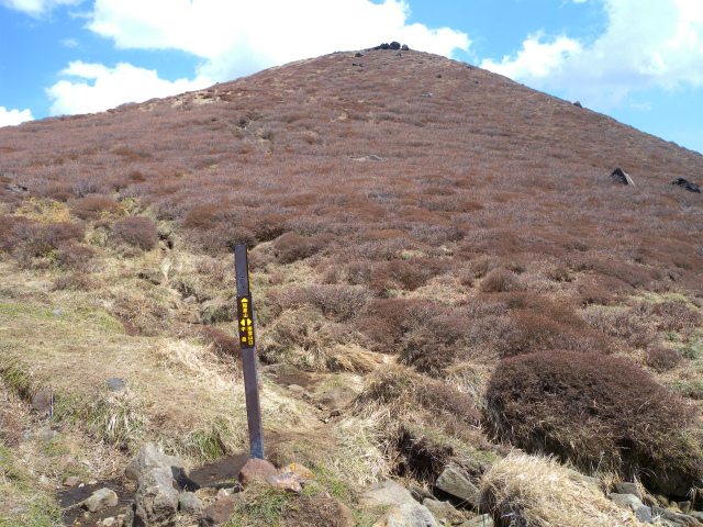 e0272335_89201.jpg