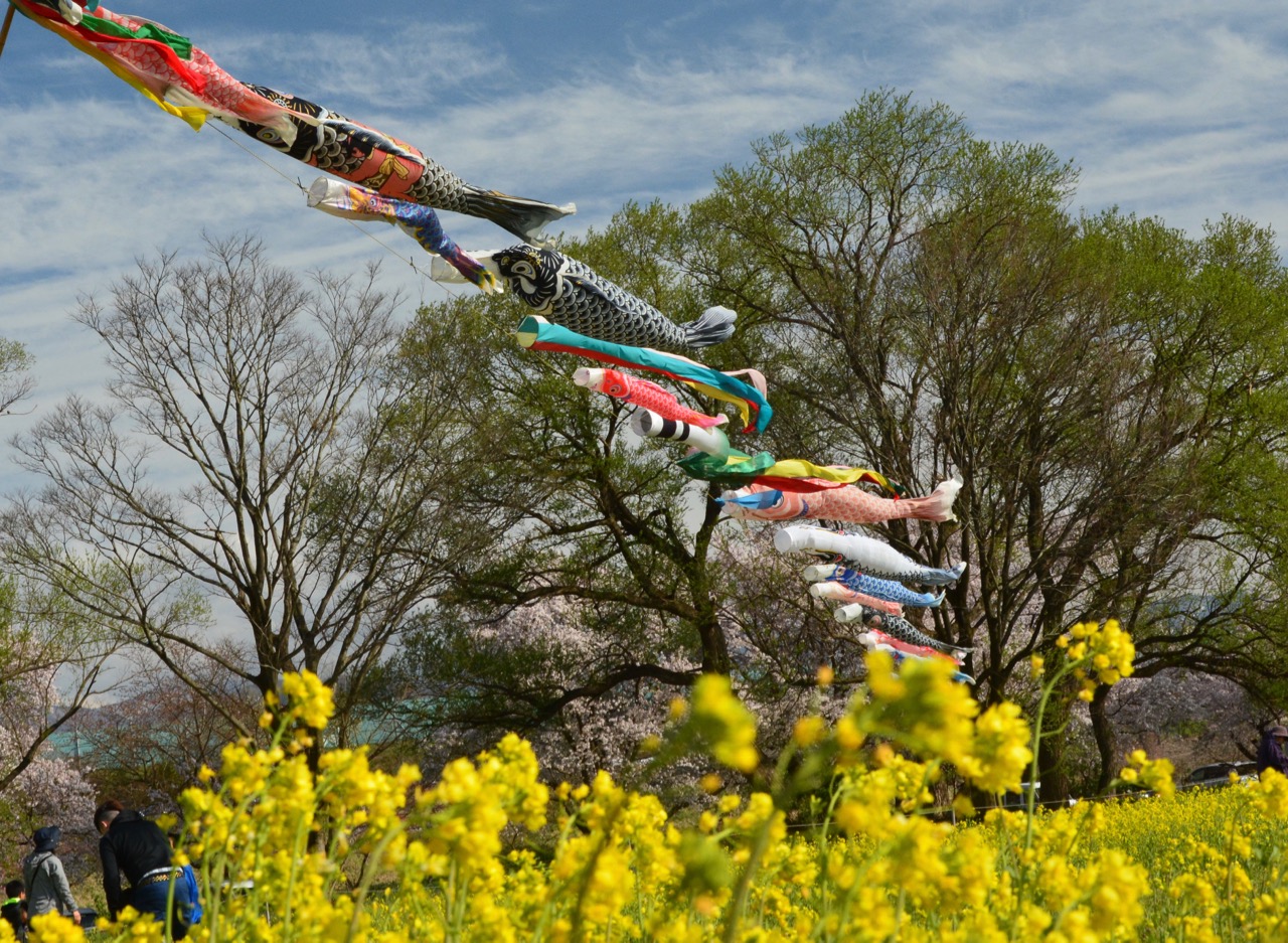 桜の花を求めて （小布施町・須坂市編）_e0099737_19232593.jpg