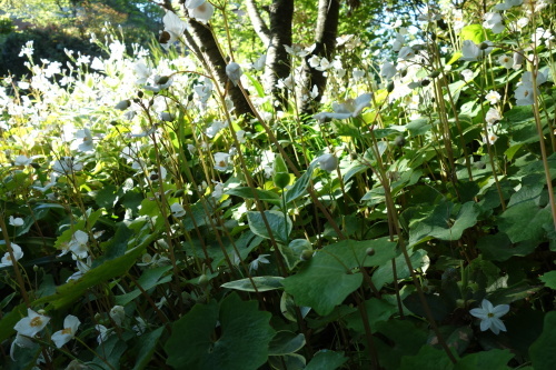 f0375039_07073964.jpg