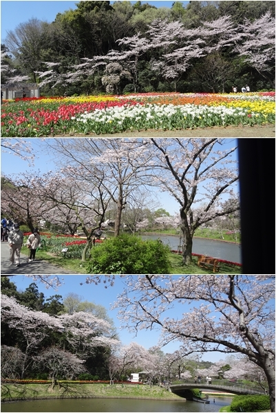 星野リゾートを楽しむ旅　浜名湖　フラワーパーク＆龍潭寺_a0084343_11104746.jpg