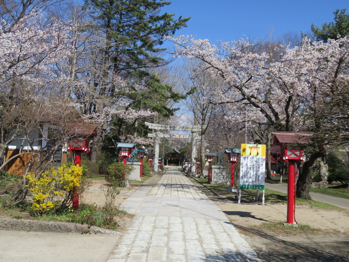 b0238249_20155257.jpg