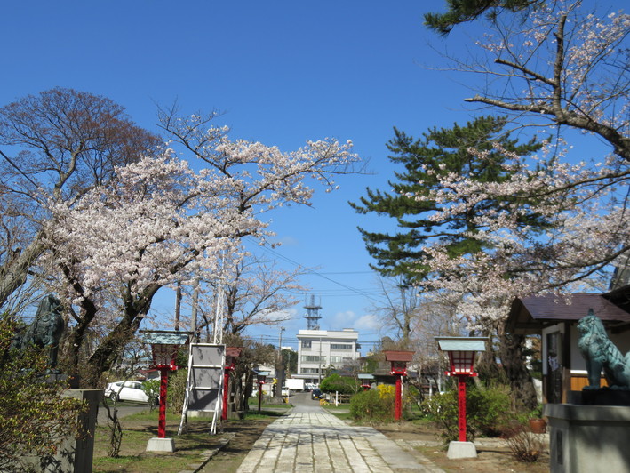b0238249_20283644.jpg