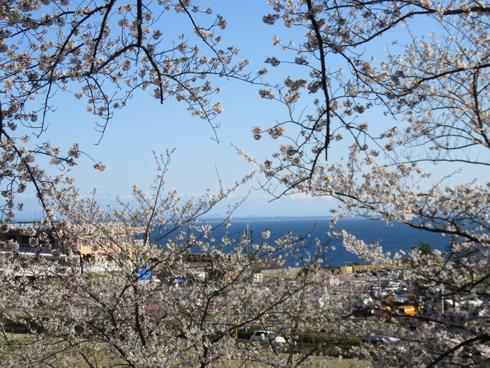 b0238249_20425099.jpg